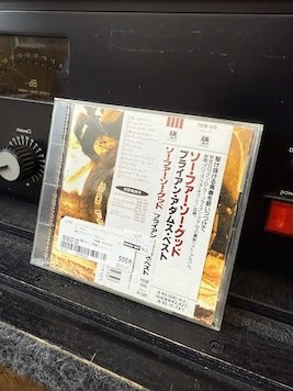IMG_6789.jpeg